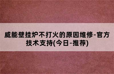 威能壁挂炉不打火的原因维修-官方技术支持(今日-推荐)