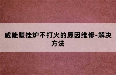 威能壁挂炉不打火的原因维修-解决方法