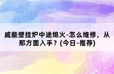 威能壁挂炉中途熄火-怎么维修，从那方面入手？(今日-推荐)