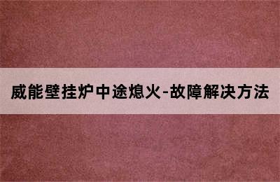 威能壁挂炉中途熄火-故障解决方法