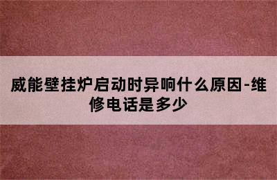 威能壁挂炉启动时异响什么原因-维修电话是多少