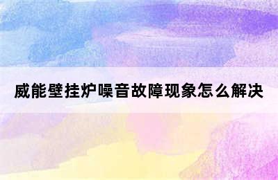 威能壁挂炉噪音故障现象怎么解决