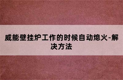 威能壁挂炉工作的时候自动熄火-解决方法