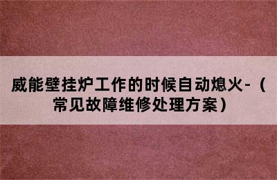 威能壁挂炉工作的时候自动熄火-（常见故障维修处理方案）