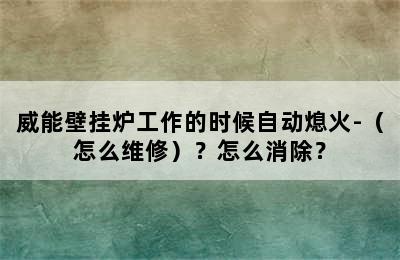 威能壁挂炉工作的时候自动熄火-（怎么维修）？怎么消除？