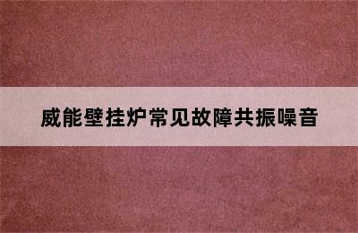 威能壁挂炉常见故障共振噪音