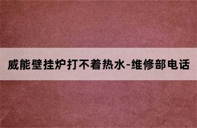 威能壁挂炉打不着热水-维修部电话