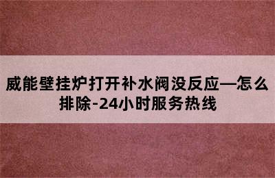 威能壁挂炉打开补水阀没反应—怎么排除-24小时服务热线