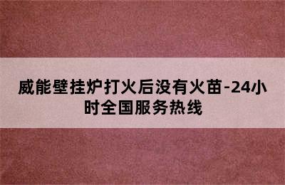 威能壁挂炉打火后没有火苗-24小时全国服务热线