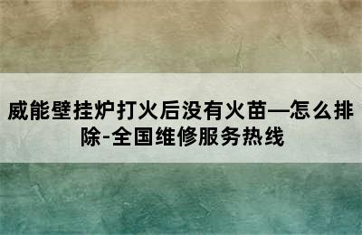 威能壁挂炉打火后没有火苗—怎么排除-全国维修服务热线