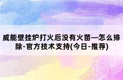 威能壁挂炉打火后没有火苗—怎么排除-官方技术支持(今日-推荐)