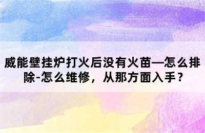 威能壁挂炉打火后没有火苗—怎么排除-怎么维修，从那方面入手？