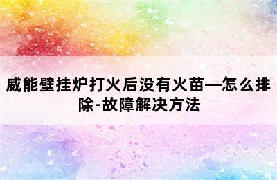 威能壁挂炉打火后没有火苗—怎么排除-故障解决方法