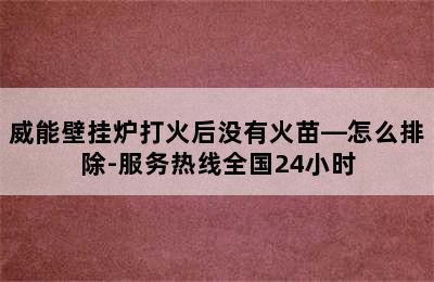 威能壁挂炉打火后没有火苗—怎么排除-服务热线全国24小时