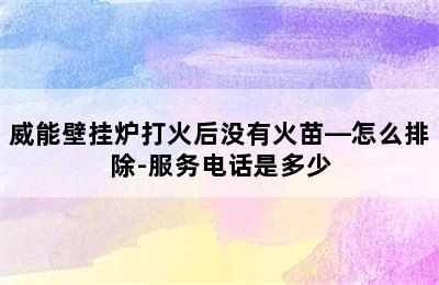 威能壁挂炉打火后没有火苗—怎么排除-服务电话是多少