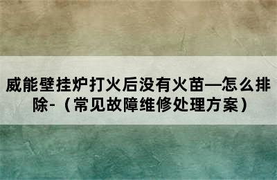 威能壁挂炉打火后没有火苗—怎么排除-（常见故障维修处理方案）