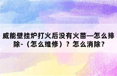 威能壁挂炉打火后没有火苗—怎么排除-（怎么维修）？怎么消除？