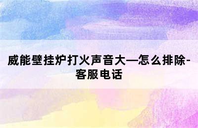 威能壁挂炉打火声音大—怎么排除-客服电话