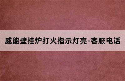 威能壁挂炉打火指示灯亮-客服电话