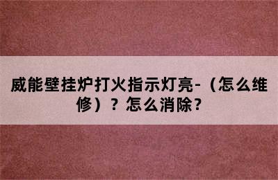 威能壁挂炉打火指示灯亮-（怎么维修）？怎么消除？