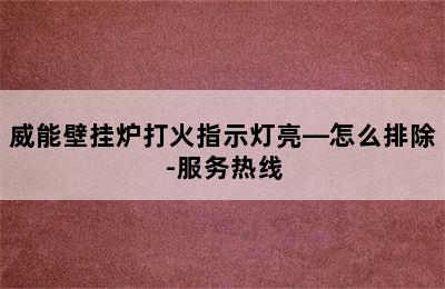 威能壁挂炉打火指示灯亮—怎么排除-服务热线