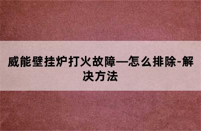 威能壁挂炉打火故障—怎么排除-解决方法