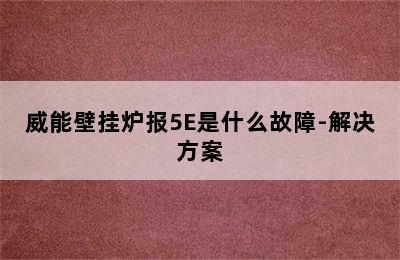 威能壁挂炉报5E是什么故障-解决方案