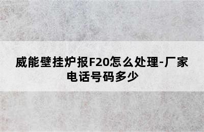 威能壁挂炉报F20怎么处理-厂家电话号码多少