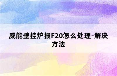 威能壁挂炉报F20怎么处理-解决方法