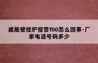 威能壁挂炉报警f00怎么回事-厂家电话号码多少