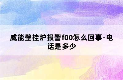 威能壁挂炉报警f00怎么回事-电话是多少