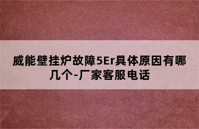 威能壁挂炉故障5Er具体原因有哪几个-厂家客服电话