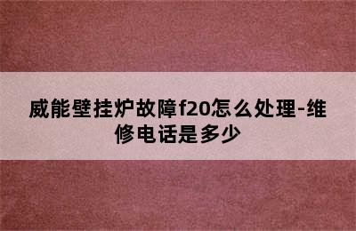 威能壁挂炉故障f20怎么处理-维修电话是多少