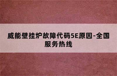 威能壁挂炉故障代码5E原因-全国服务热线