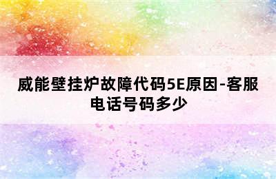 威能壁挂炉故障代码5E原因-客服电话号码多少