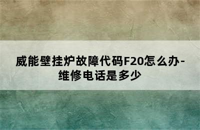 威能壁挂炉故障代码F20怎么办-维修电话是多少