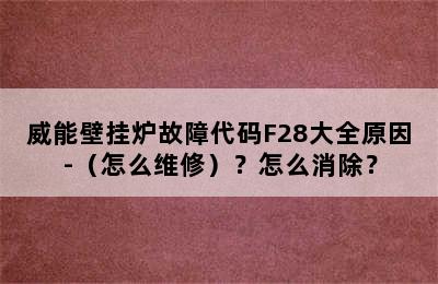 威能壁挂炉故障代码F28大全原因-（怎么维修）？怎么消除？