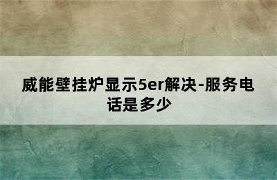 威能壁挂炉显示5er解决-服务电话是多少