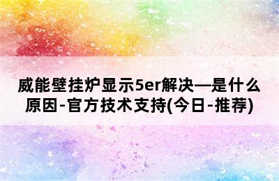 威能壁挂炉显示5er解决—是什么原因-官方技术支持(今日-推荐)