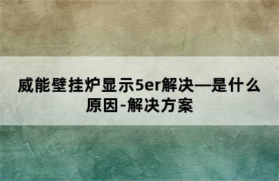 威能壁挂炉显示5er解决—是什么原因-解决方案