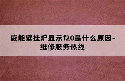 威能壁挂炉显示f20是什么原因-维修服务热线