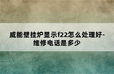 威能壁挂炉显示f22怎么处理好-维修电话是多少