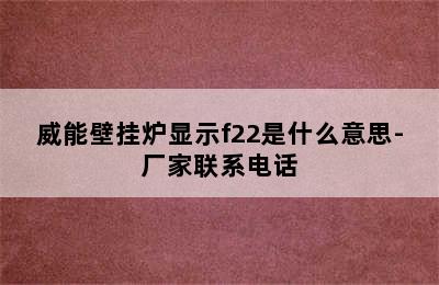 威能壁挂炉显示f22是什么意思-厂家联系电话