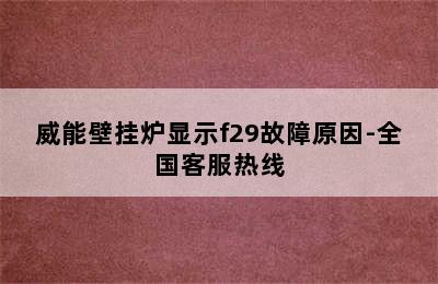 威能壁挂炉显示f29故障原因-全国客服热线