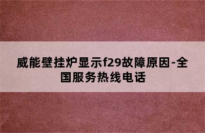 威能壁挂炉显示f29故障原因-全国服务热线电话