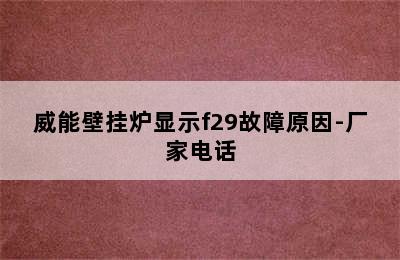 威能壁挂炉显示f29故障原因-厂家电话