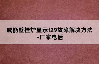 威能壁挂炉显示f29故障解决方法-厂家电话