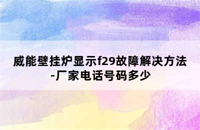 威能壁挂炉显示f29故障解决方法-厂家电话号码多少