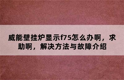 威能壁挂炉显示f75怎么办啊，求助啊，解决方法与故障介绍