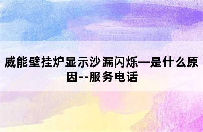 威能壁挂炉显示沙漏闪烁—是什么原因--服务电话